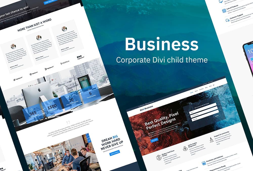 Divi Business Child theme
