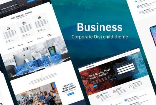 Divi Business Child theme